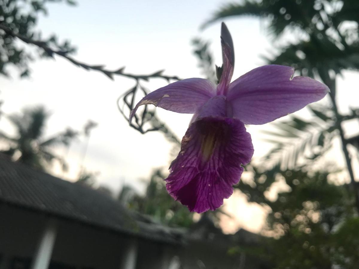 Jilan Homestay 벤토타 외부 사진