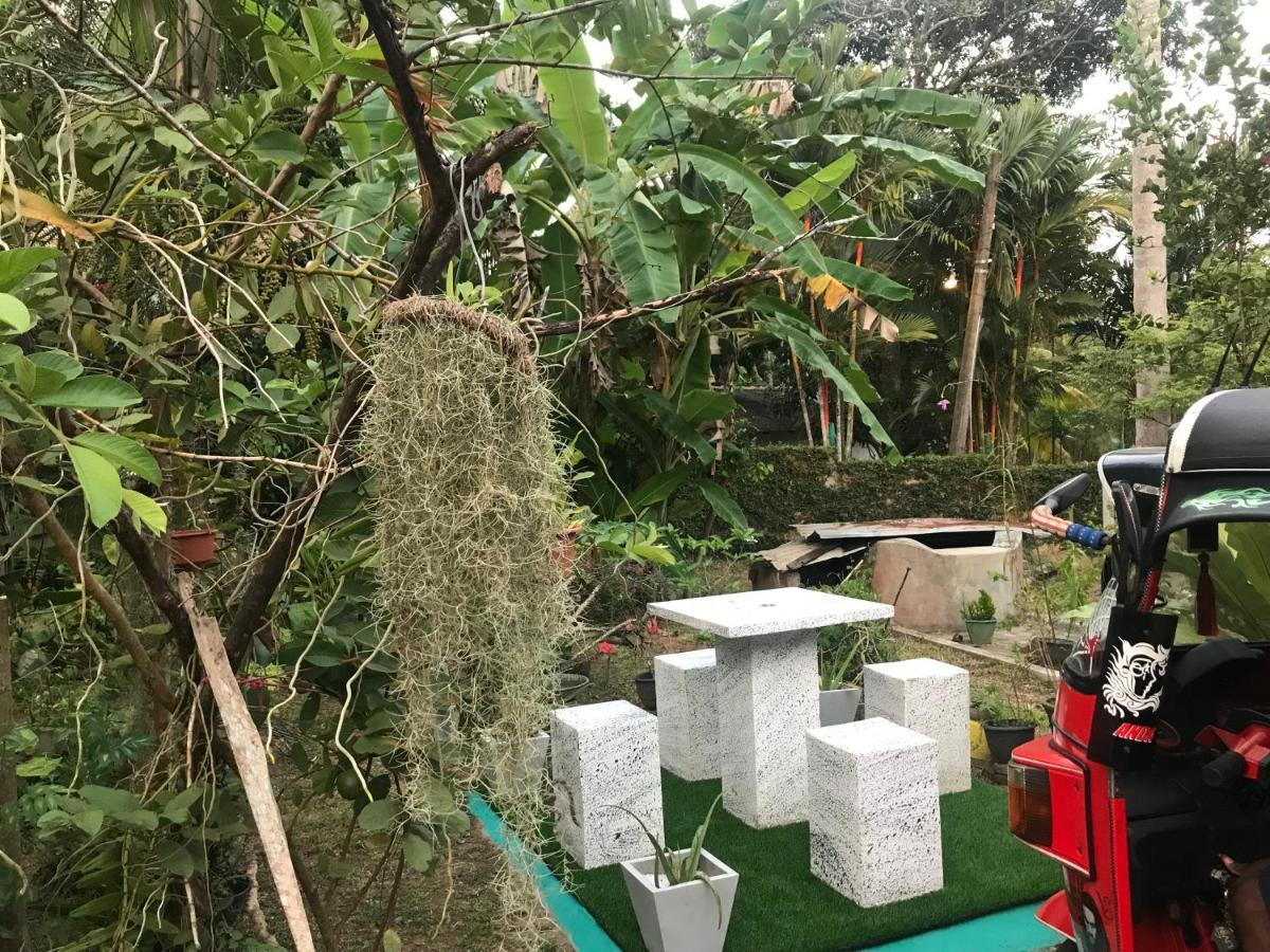 Jilan Homestay 벤토타 외부 사진